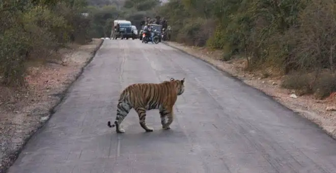 Sariska National Park