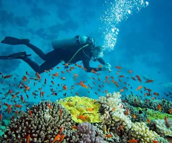 Scuba Diving in Andaman Islands