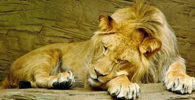 Sitamata Wildlife Sanctuary Chittorgarh