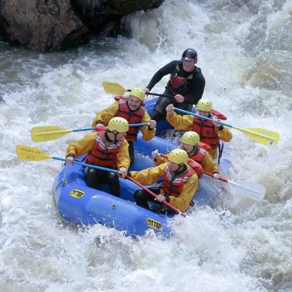 Things To Do in Haridwar