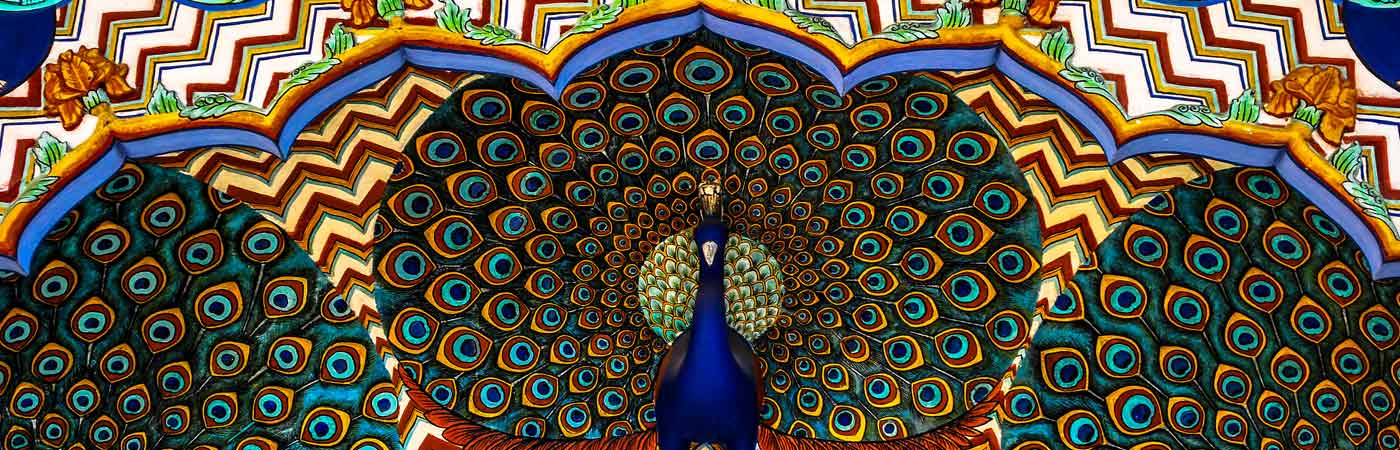 Rajasthan Tour code 35 Jaipur Pushkar Jodhpur Tour