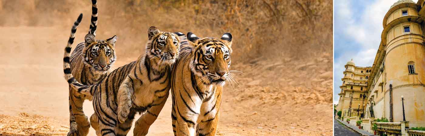 Rajasthan Tour code 7 Jaipur Jodhpur Udaipur Tour