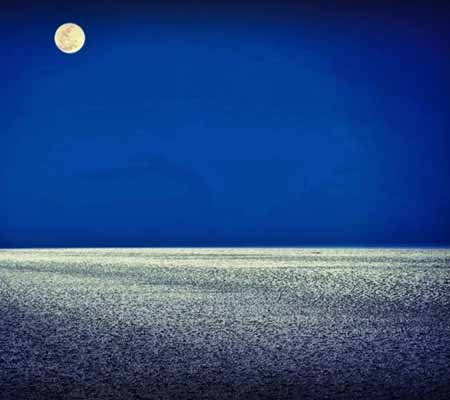 Travel Package Rann Utsav (4 Days)