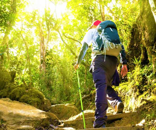 Trekking in Andaman Islands