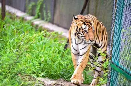 Udaipur Biological Park