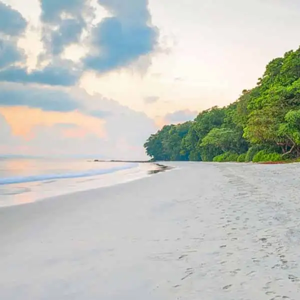 Things To Do in Rishikesh